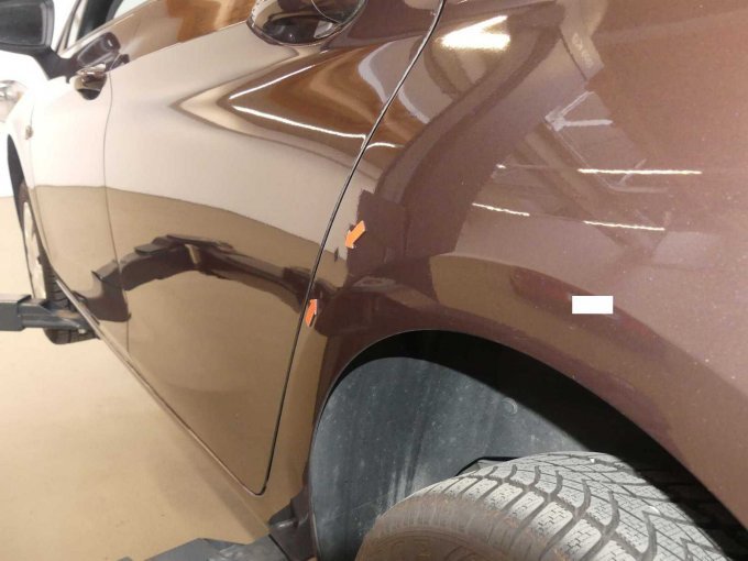 Dellen Radlauf hinten links