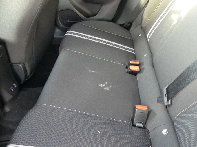 Flecken Rücksitzbank