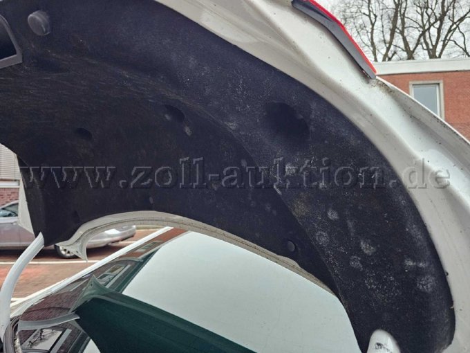 Schimmel Kofferraumdeckel