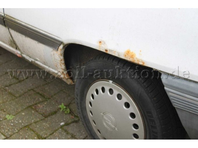 Radlauf hinten links