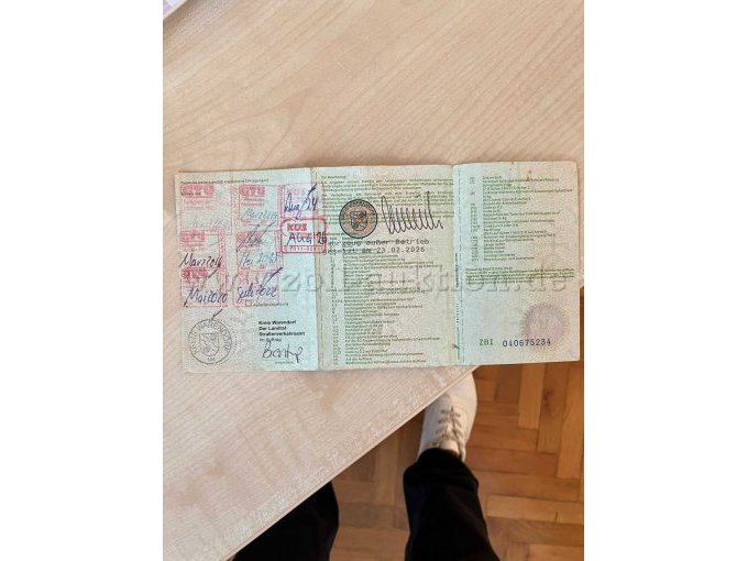 Fahrzeugschein Rückseite