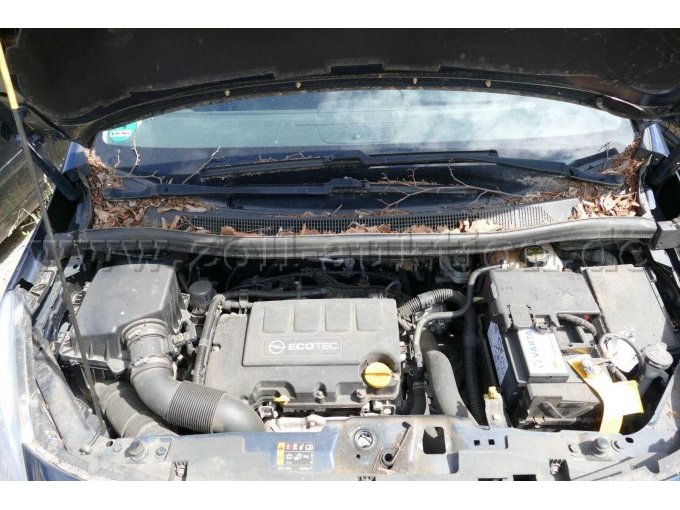 Motor