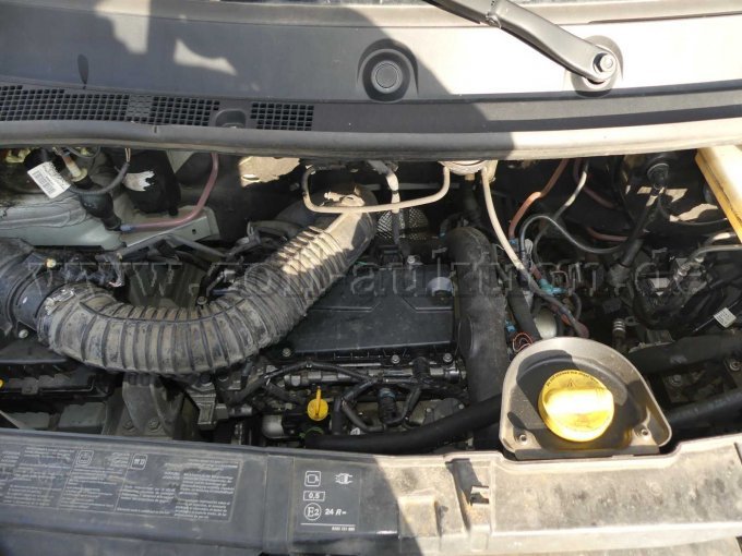 Motor