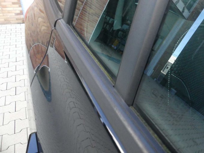 Scheibenabdichtung Moosbewuchs