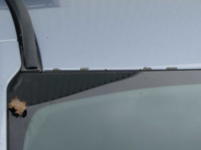 Beispiel Lackschäden Fahrzeugdach