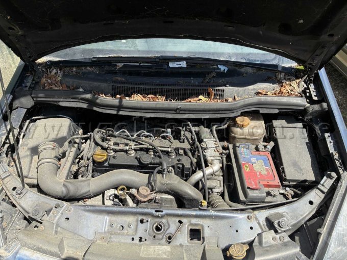 Motor