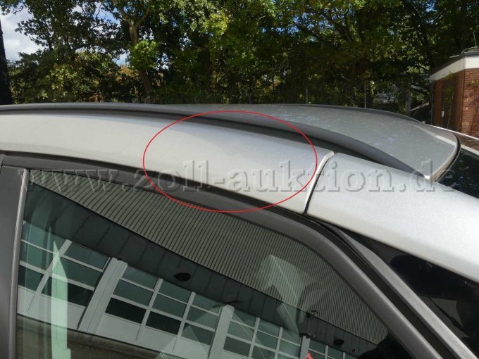 Beispiel-Schaden Dach-Holm