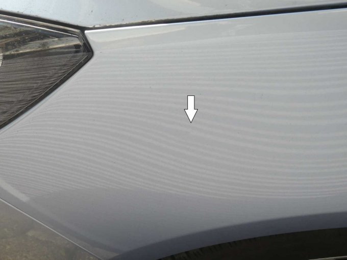 Delle Kotfügel vorn links