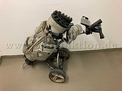 Übersichtsaufnahme Gold Caddy und Tasche