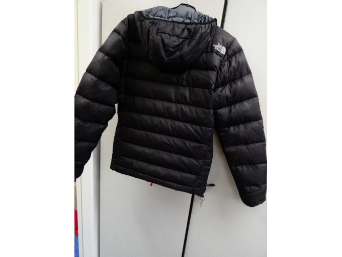 Herren-Daunenjacke The North Face_ Rückansicht