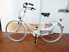 Damenrad Kalocsa_ Gesamtansicht