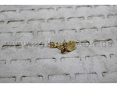 Front-und Rückansicht