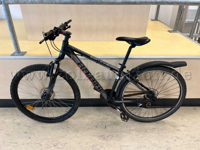 Mountainbike von Haibike
