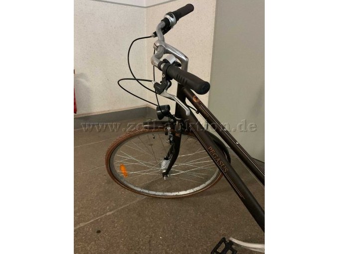 1 Pegasus Avanti Classico, 28 inch – foto 5 – kavel bij Zoll-Auktion, Zwickau