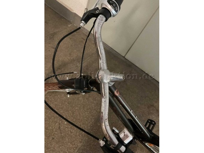 1 Pegasus Avanti Classico, 28 inch – foto 8 – kavel bij Zoll-Auktion, Zwickau