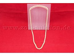 Gesamtansicht der Auktion