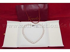 Gesamtansicht der Auktion