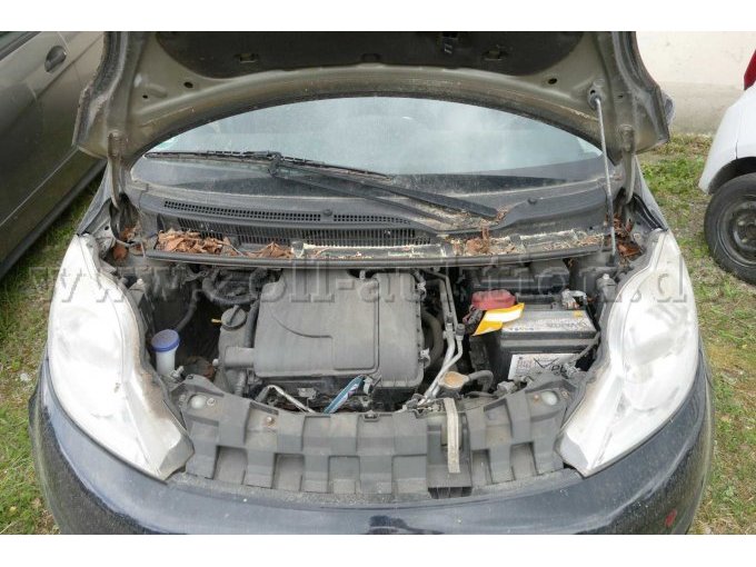 Motor