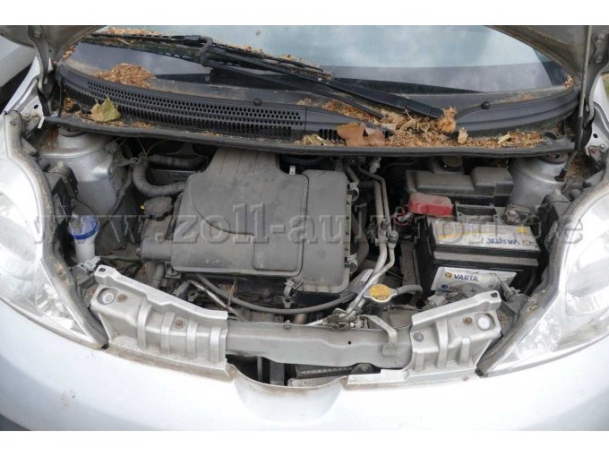 Motor