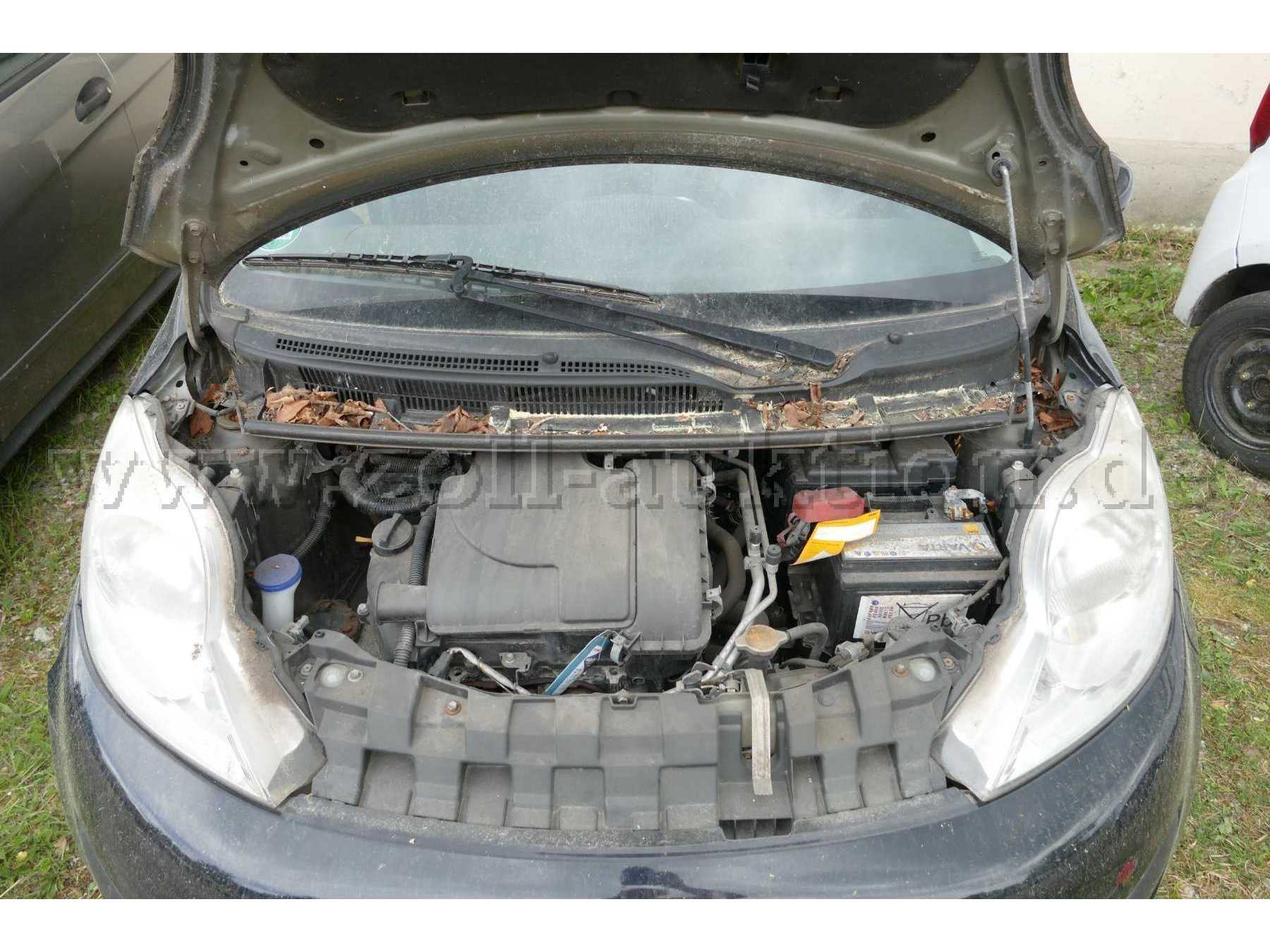 Motor