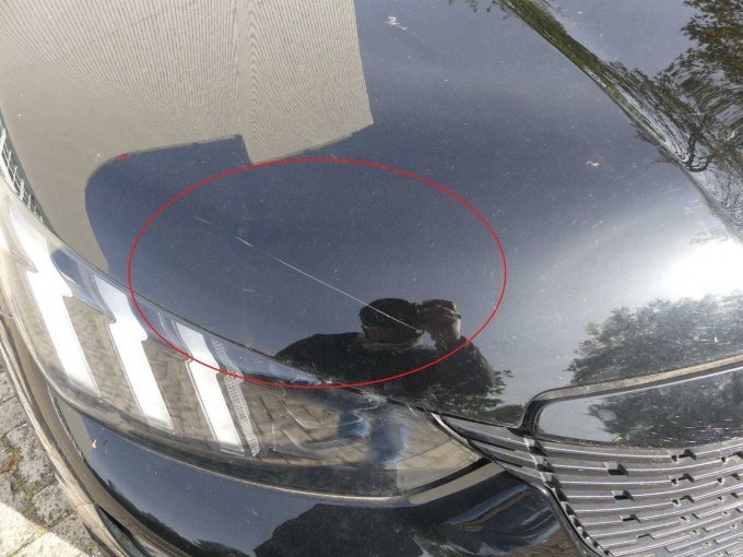 Beispiel-Schaden Motorhaube