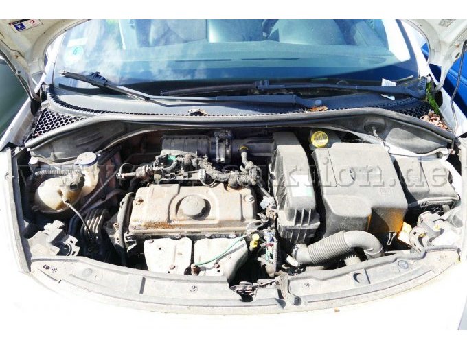 Motor