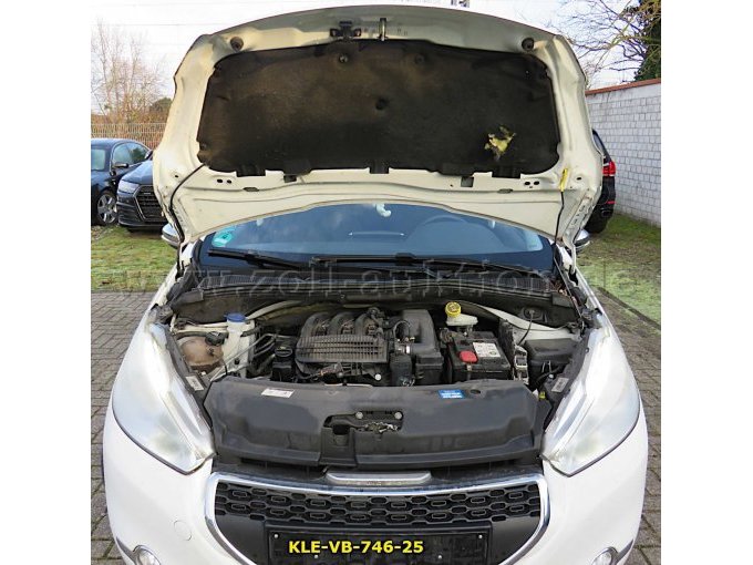 Motorhaube und Motorraum