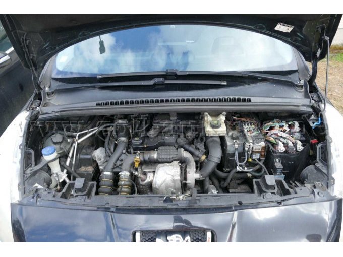 Motor