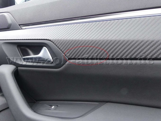 Türverkleidung vorn rechts