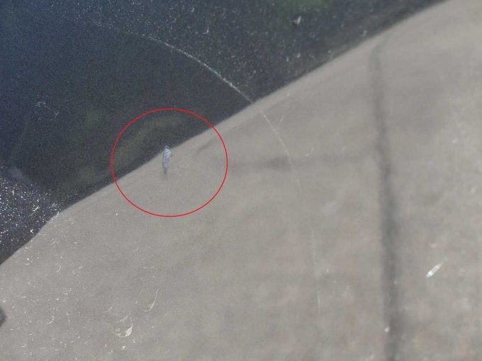 Beispiel Delle mit Lackschaden Tür vorn rechts