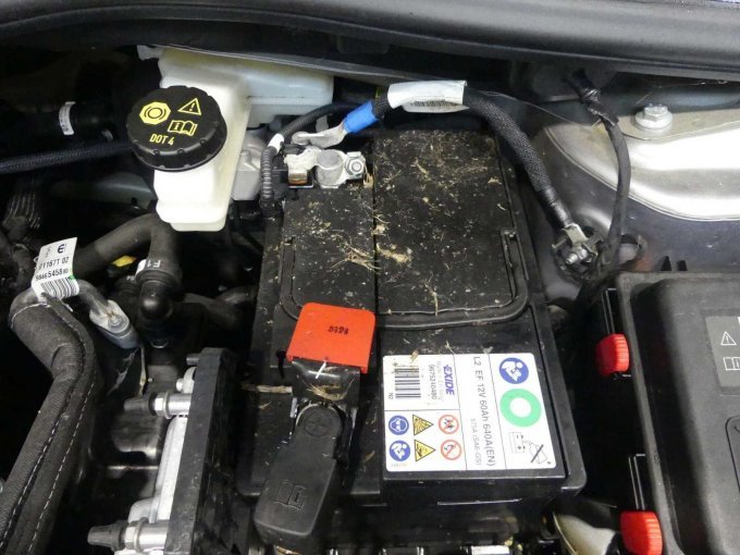 Verschmutzungen Motorraum