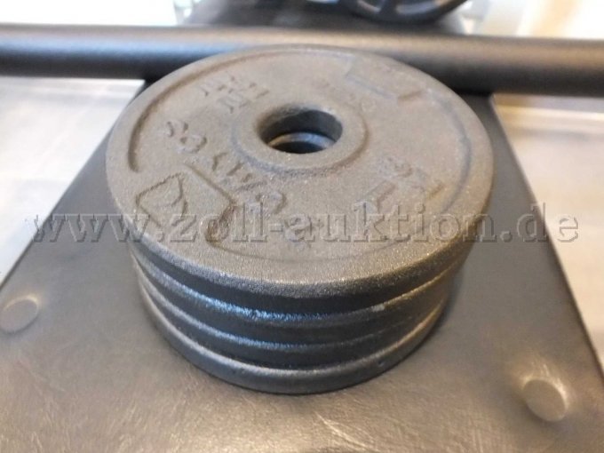 4x 1KG Gewichtsscheiben