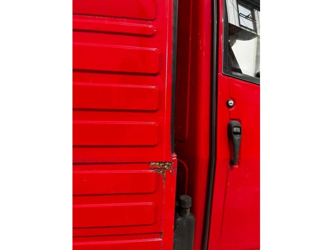 APE seitlich mit Moos