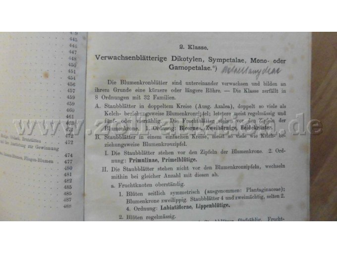 Eintragung mit Bleistift