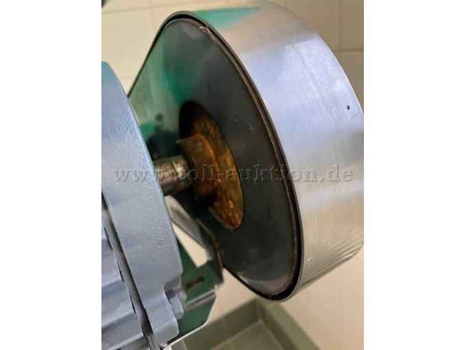 Rost Riemenrad