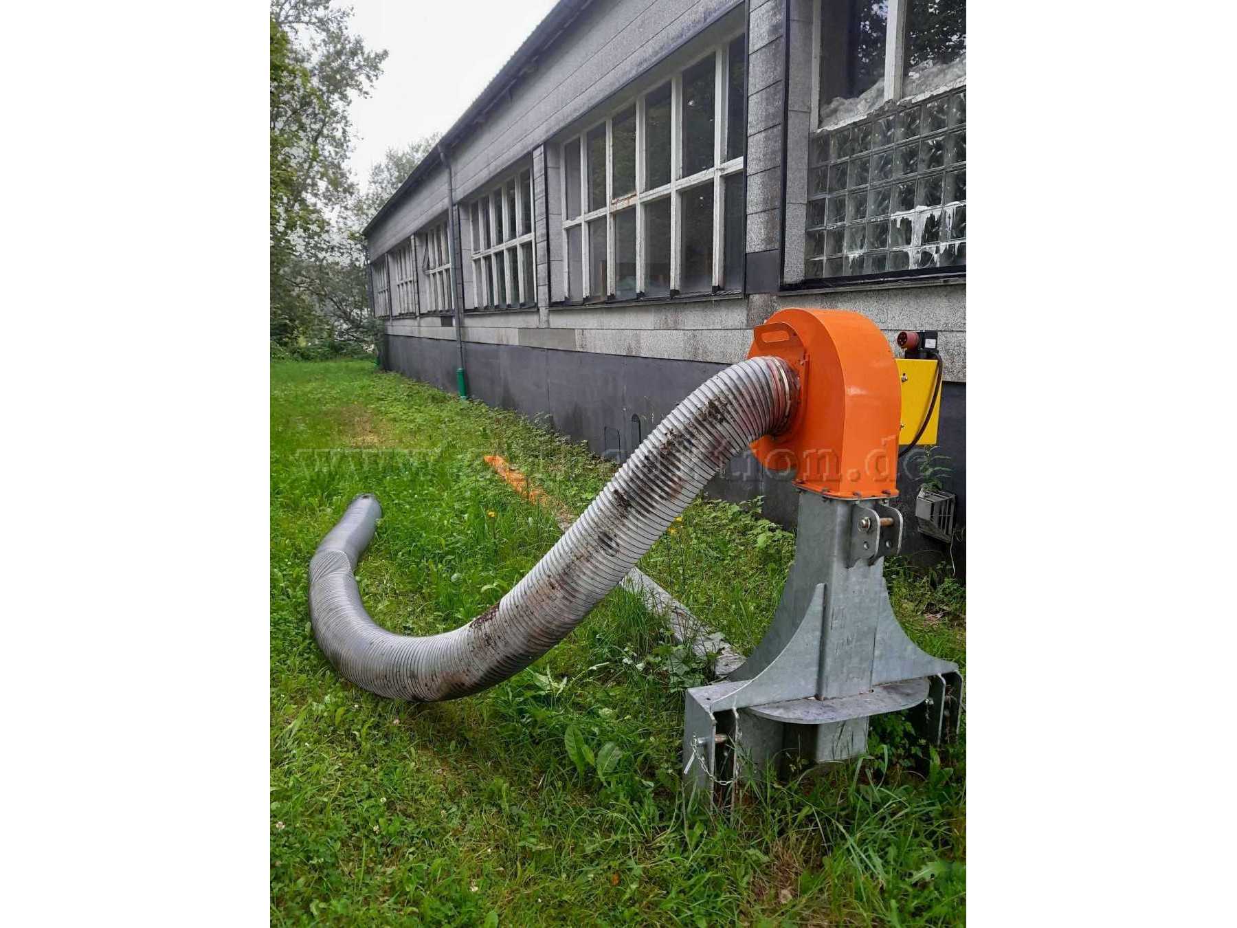 Seite Hinten