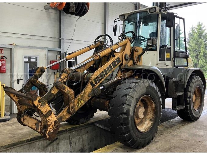 Ansicht Radlader von außen "Fahrerseite"
