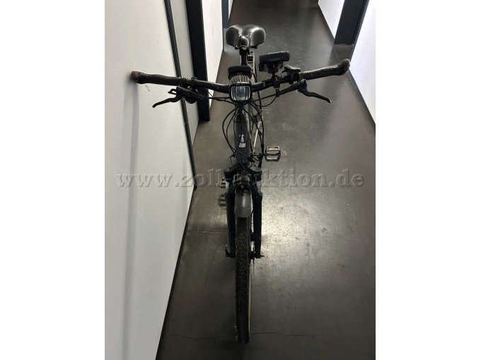 Raleigh Kent 10 XXL Frontansicht
