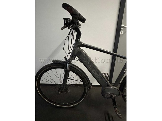 Raleigh Kent 10 XXL Seitansicht