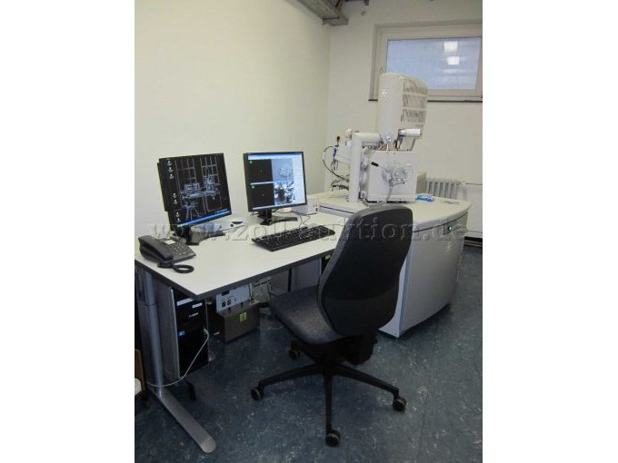 FESEM Quanta 250-Übersicht1