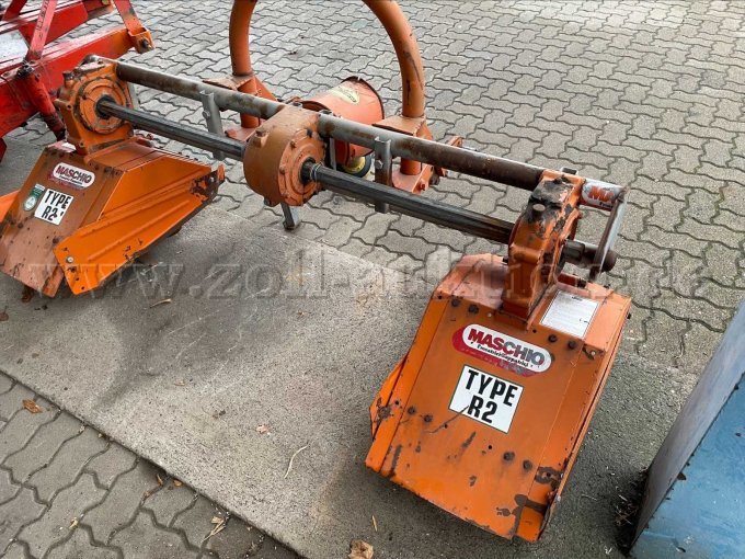 Maschio hinten rechts