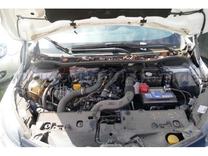 Motor
