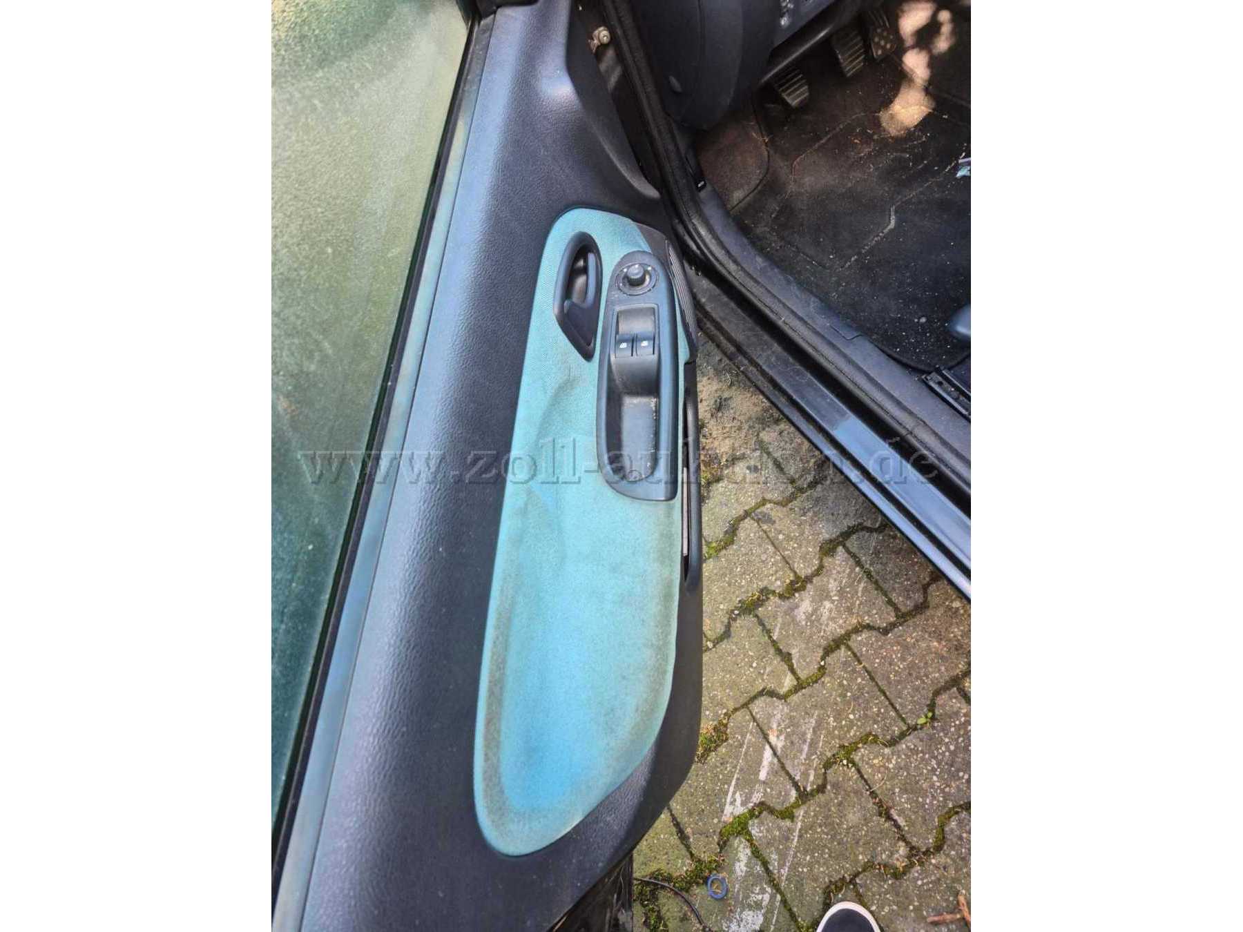 Fahrer Innentüransicht