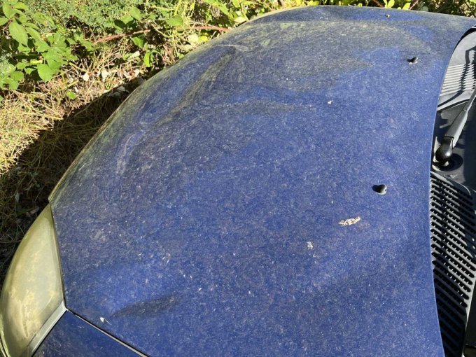 1 Renault Clio -Typ B (Bastlerfahrzeug) – foto 9 – kavel bij Zoll-Auktion, Erfurt