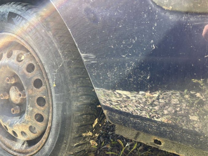 1 Renault Clio -Typ B (Bastlerfahrzeug) – foto 11 – kavel bij Zoll-Auktion, Erfurt
