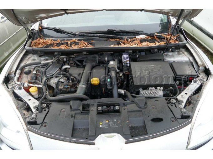 Motor