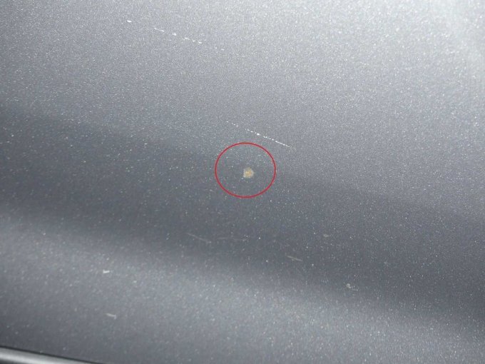 Lackschäden Vordertür rechts