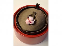 Frontansicht Ring in Box