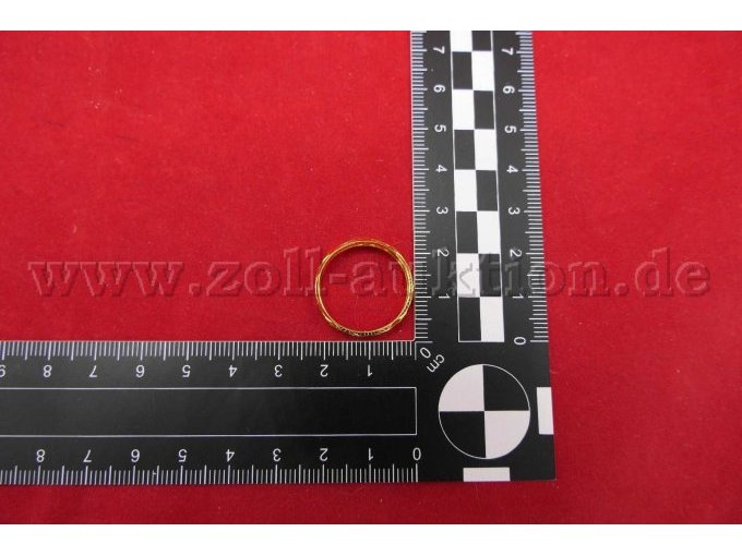 Detailaufnahme des Rings mit Maßstab