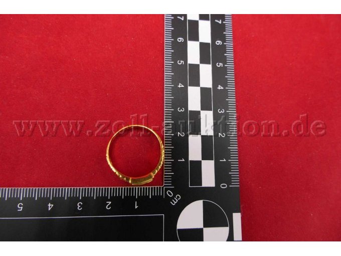 Detailaufnahme des Rings mit Maßstab